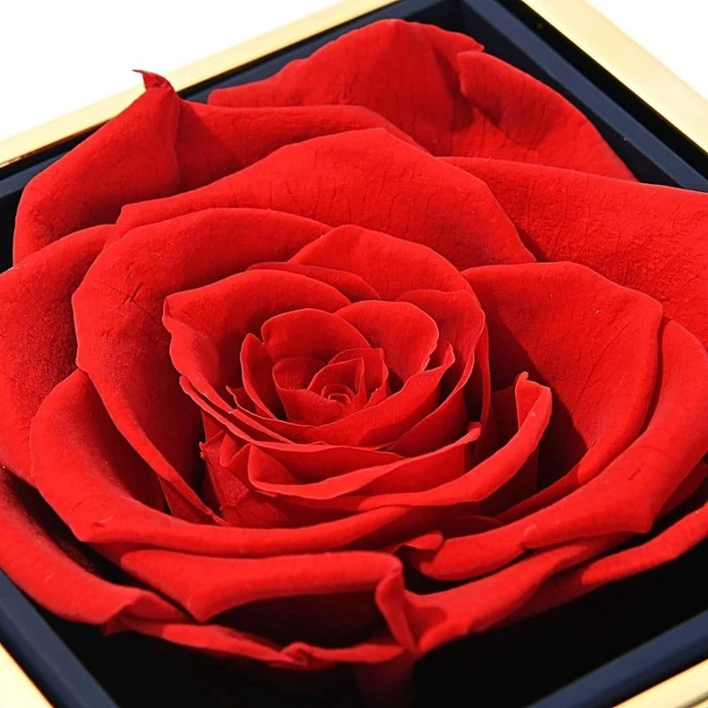 CAIXA DE JOIAS COM ROSA ETERNA PARA PRESENTE
