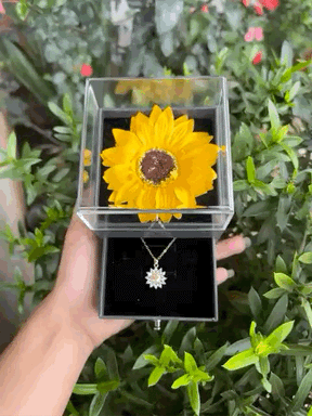 CAIXA E COLAR GIRASSOL BANHADO EM OURO 18K - GARGSI333