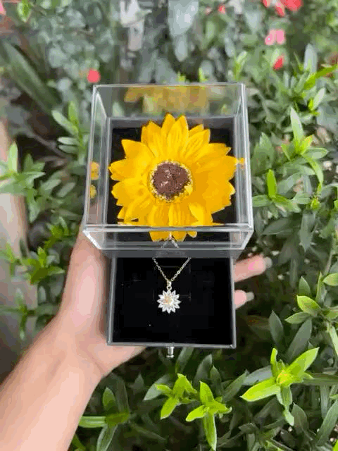 CAIXA E COLAR GIRASSOL BANHADO EM OURO 18K - GARGSI333