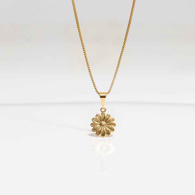 COLAR MARGARIDA BANHADO EM OURO 18K - GARGSI10