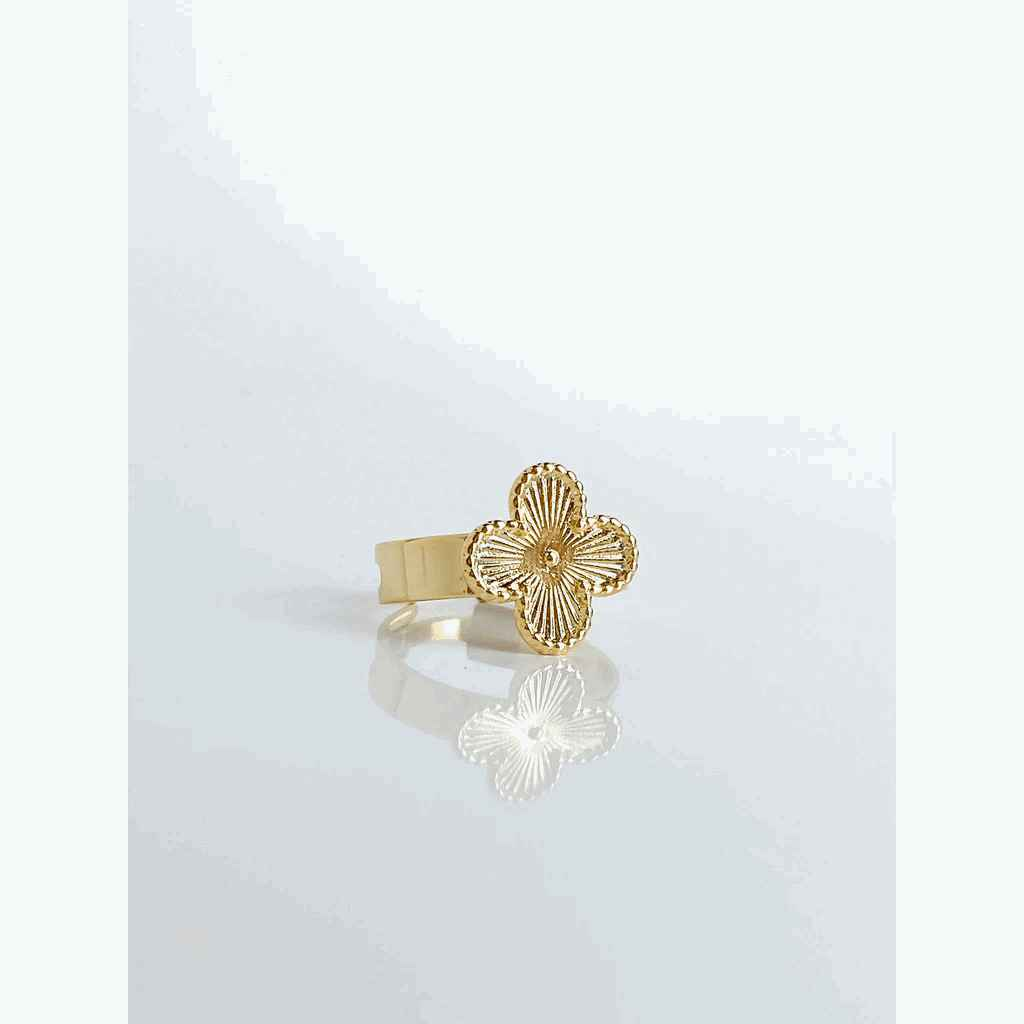 ANEL AJUSTÁVEL VIRGÍNIA BANHADO EM OURO 18K - AN29